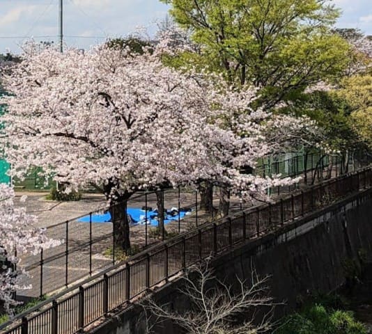 入会するメリット