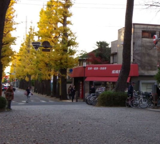 卒業生インタビュー