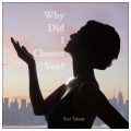 【CD】Why Did I Choose You?／高田（稲垣）恵美(31文B)
